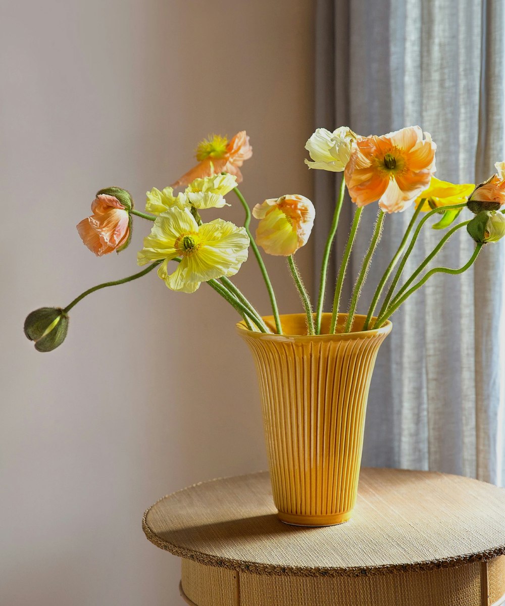 Yksityiskohtia, joissa on luonnetta